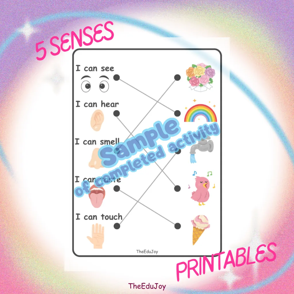 Middle Level Sample.webp